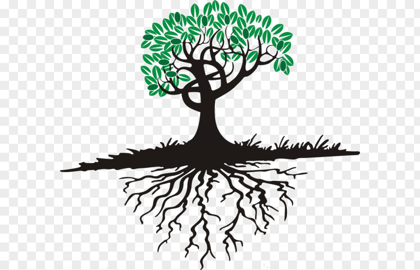 Cartoon Tree Roots Free Buckle Material PNG tree roots free buckle material clipart PNG