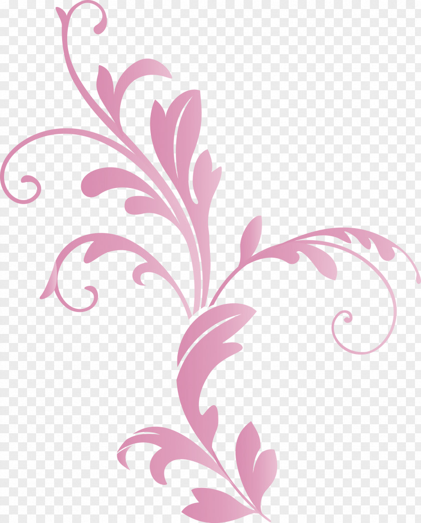 Decoration Frame Floral Flower PNG