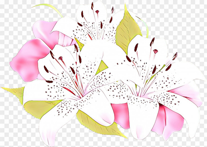 Floral Design Cut Flowers Flower Bouquet PNG