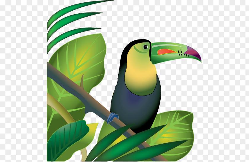 Fort Cliparts Amazon Rainforest Tropical Jungle Clip Art PNG