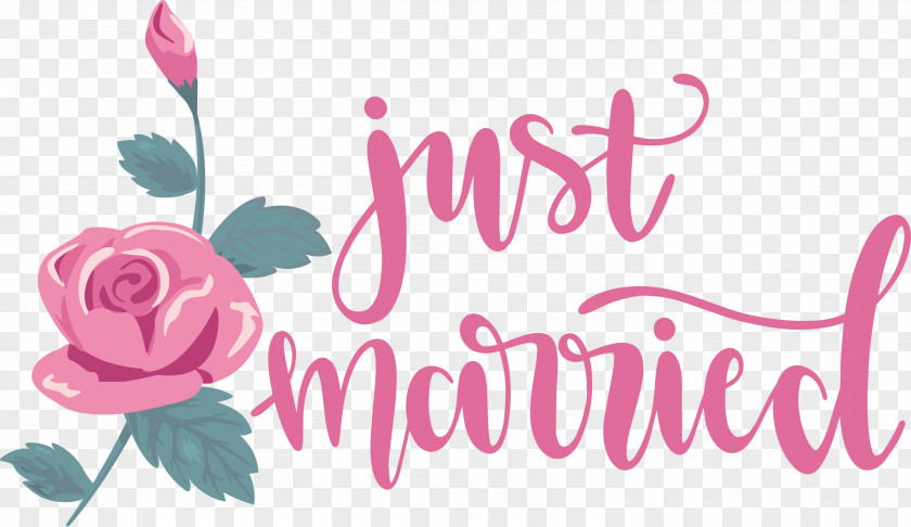 Just Married Wedding PNG