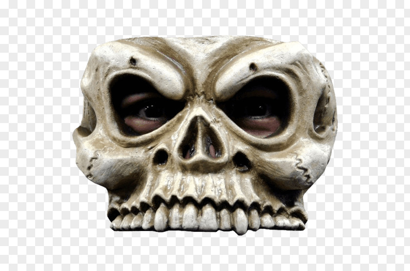 Mask Skeleton Human Skull Disguise Face PNG