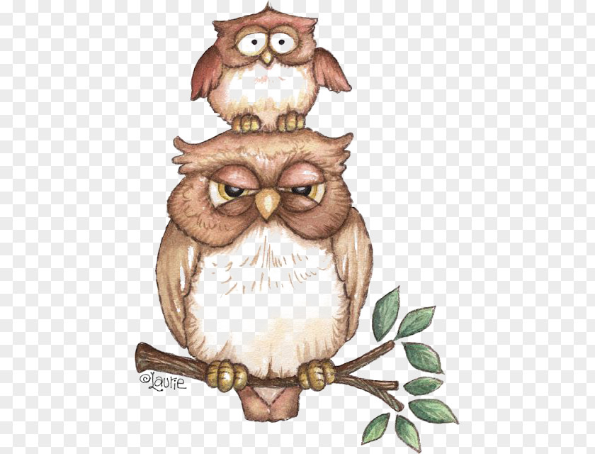 Owl Bird Drawing Illustration PNG