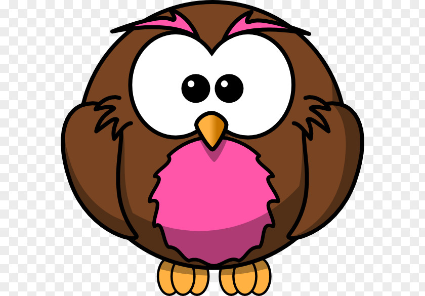Owls Vector Owl Clip Art PNG
