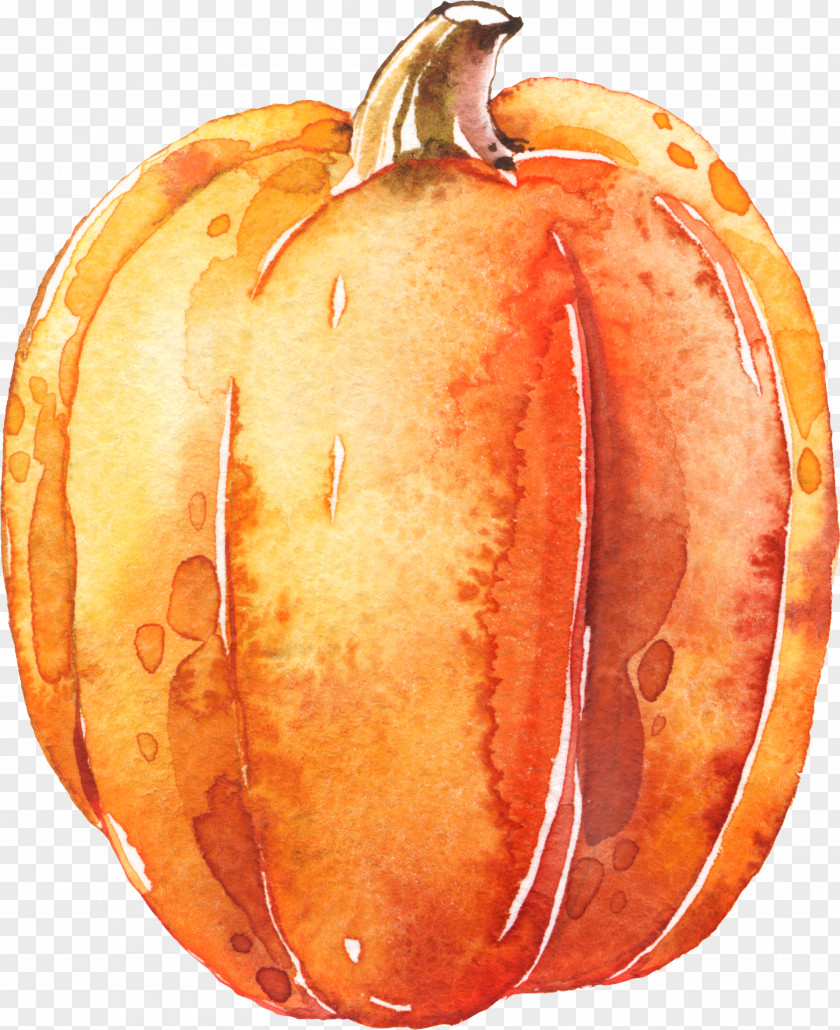 Pumpkin Calabaza Transparent Watercolor Halloween PNG