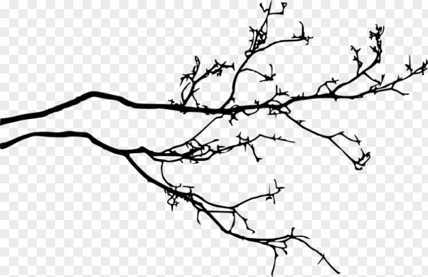 Tree Twig Branch Clip Art PNG