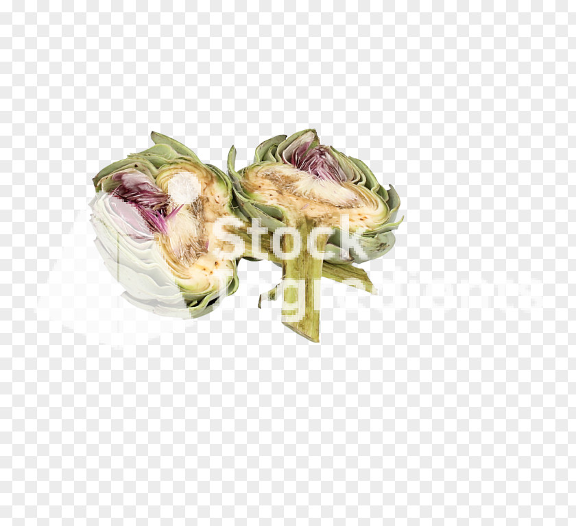 Artichoke Vegetable Tableware PNG