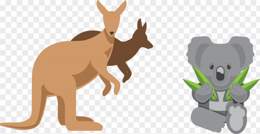 Australian Kangaroo Koala Australia Euclidean Vector Icon Design PNG