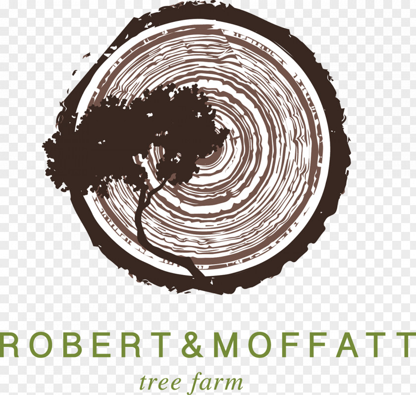 Creative Promotions Robert & Moffatt Tree Farm White Castle PNG