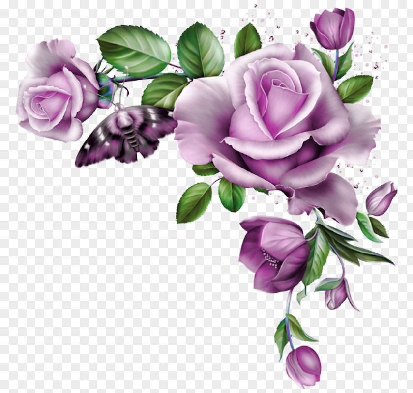 Flower Blue Rose Clip Art PNG