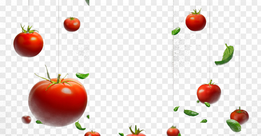 Tomato Cherry Hamburger Vegetable PNG