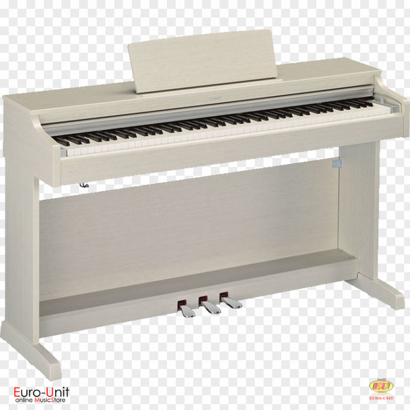 Keyboard Digital Piano Yamaha Corporation Musical Instruments PNG