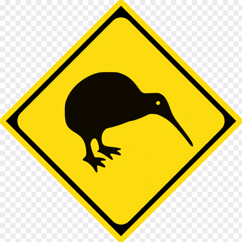Kiwi Bird New Zealand Clip Art PNG