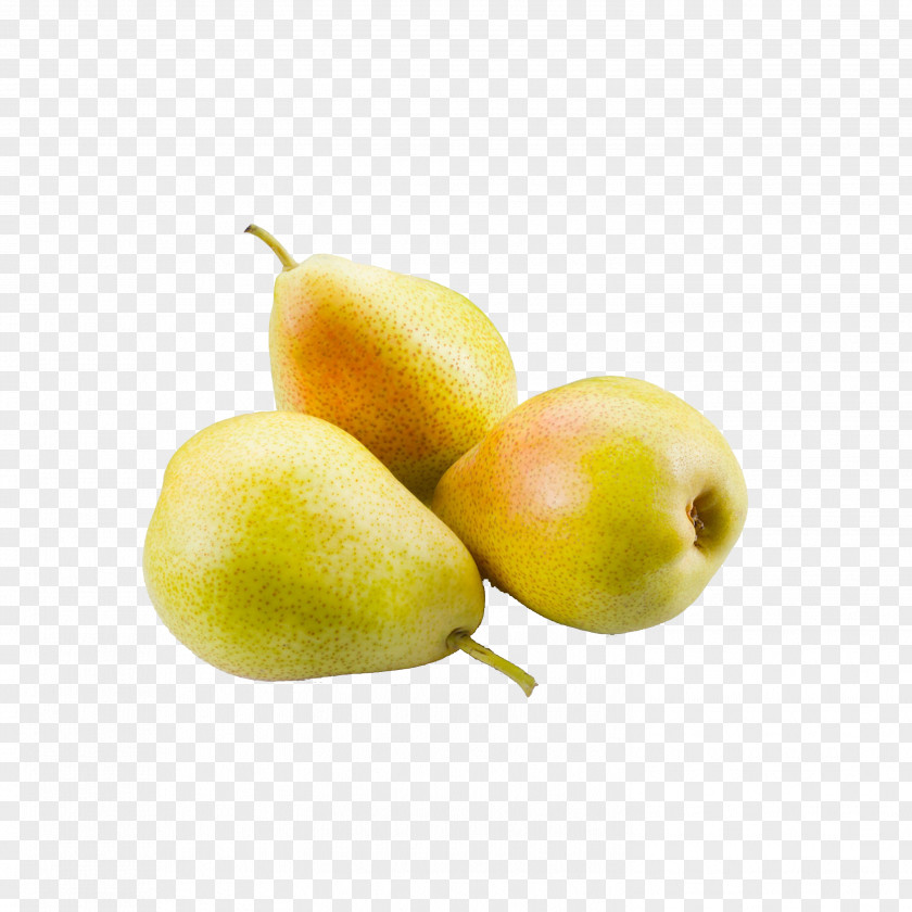 Pear Pyrus Nivalis European Xd7 Bretschneideri Auglis Fruit PNG