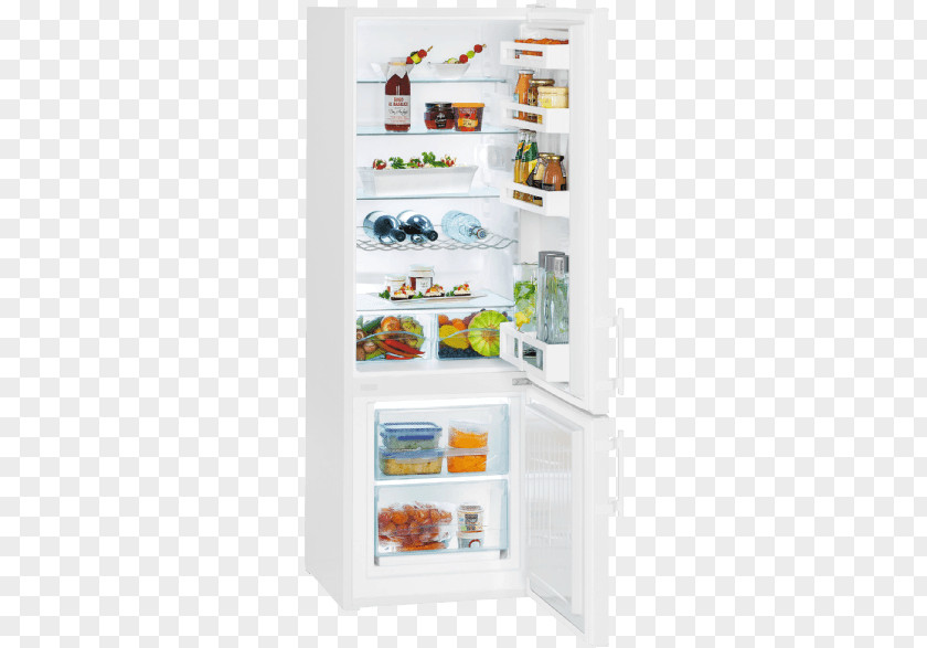 Refrigerator Liebherr CUef 2811 Freezers CTP 2521 Comfort PNG