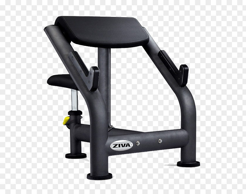Rip Curl Bench Physical Fitness Centre Weight Training Strength PNG