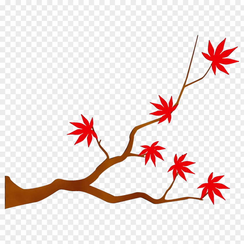 Twig Tree Red Leaf Branch Plant PNG