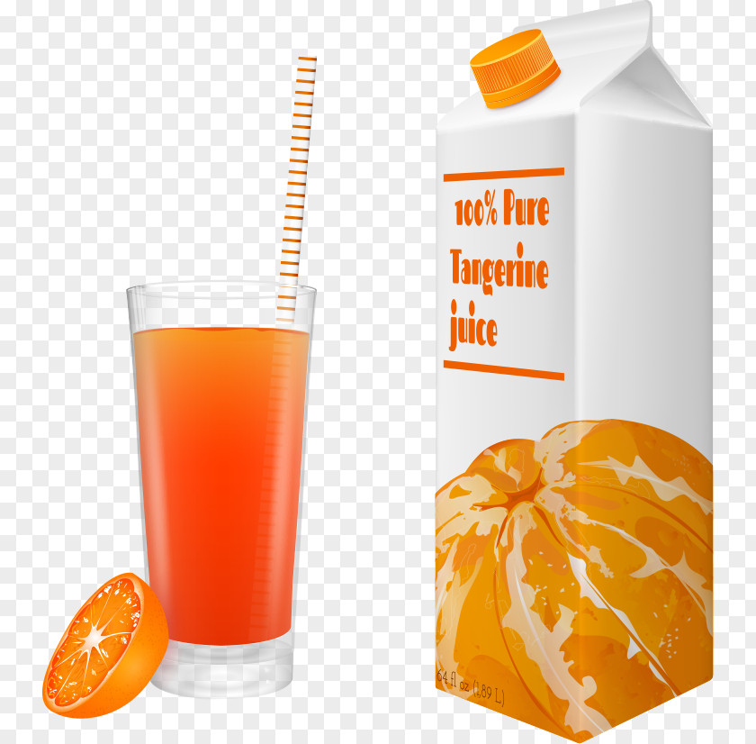 Vector Orange And Juice Drink PNG