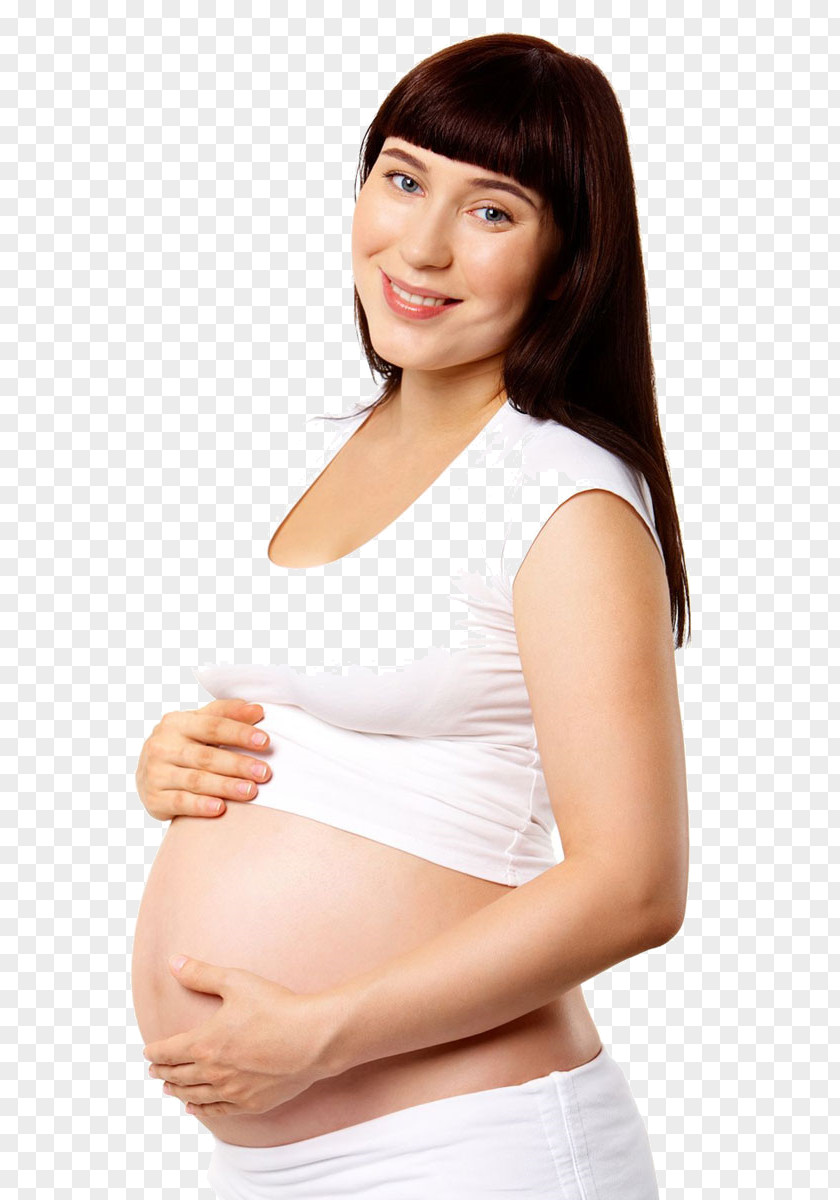 Articles Stock Photography Royalty-free Pregnancy PNG