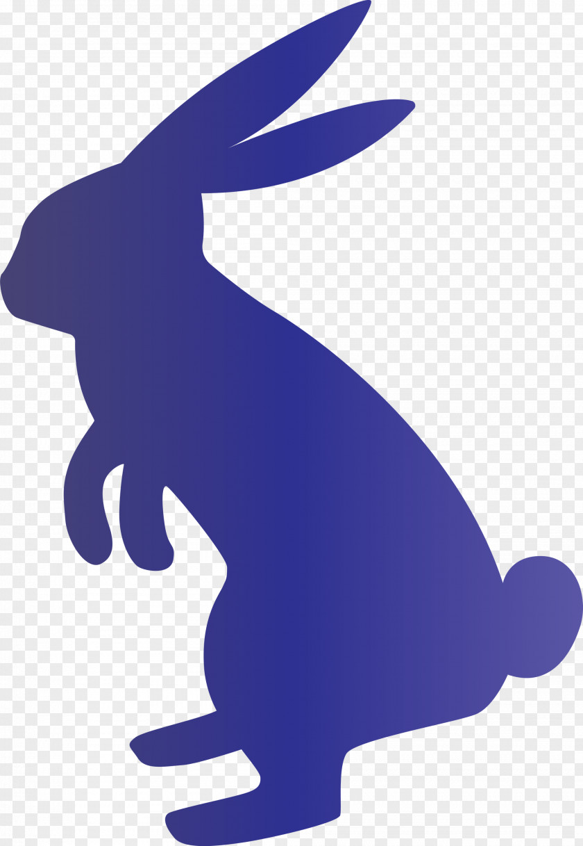 Easter Bunny Day Rabbit PNG