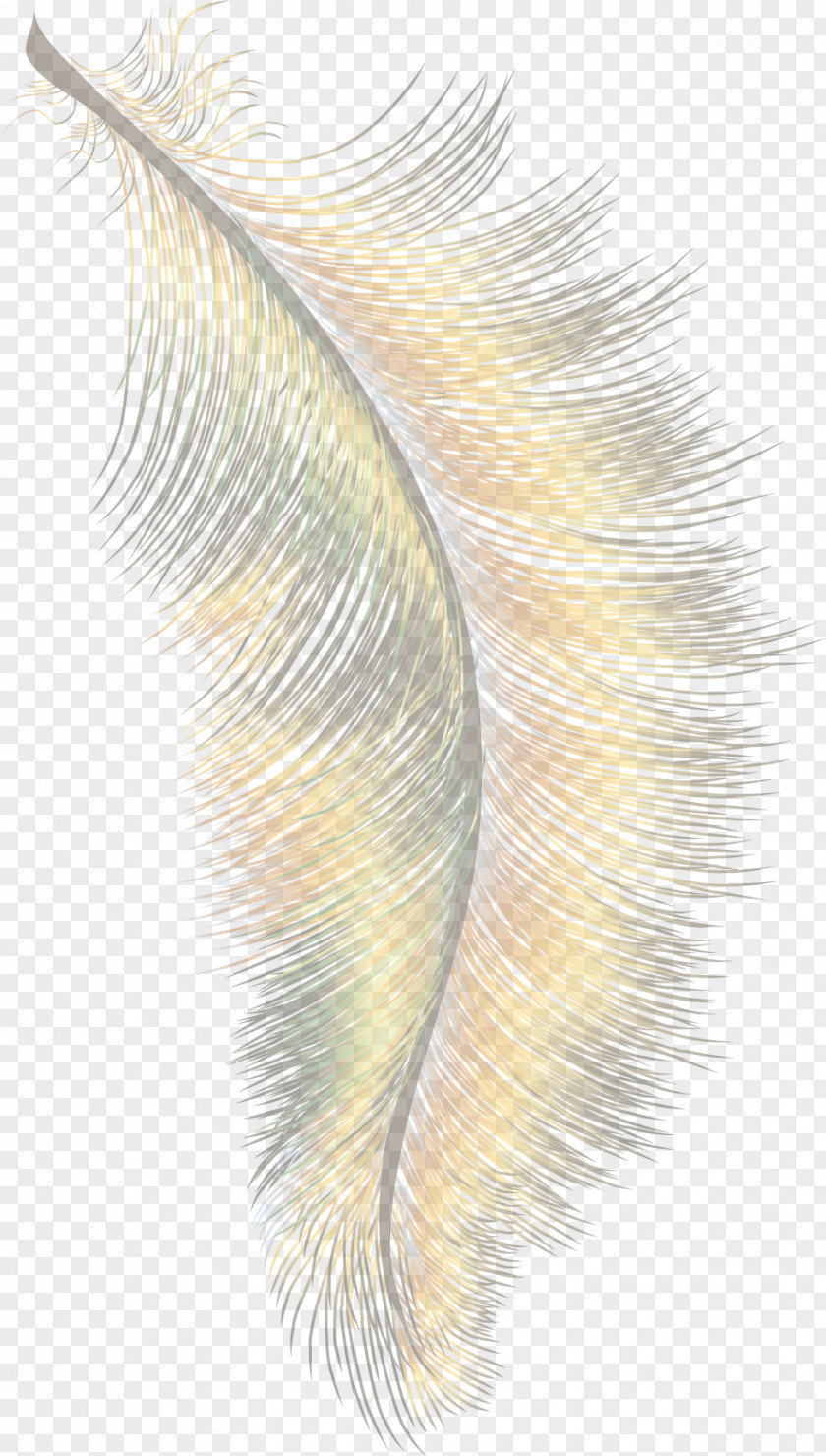 Feather Material Cartoon Wing PNG