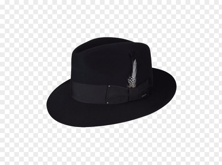 Hat Fedora Stetson Cap Clothing PNG
