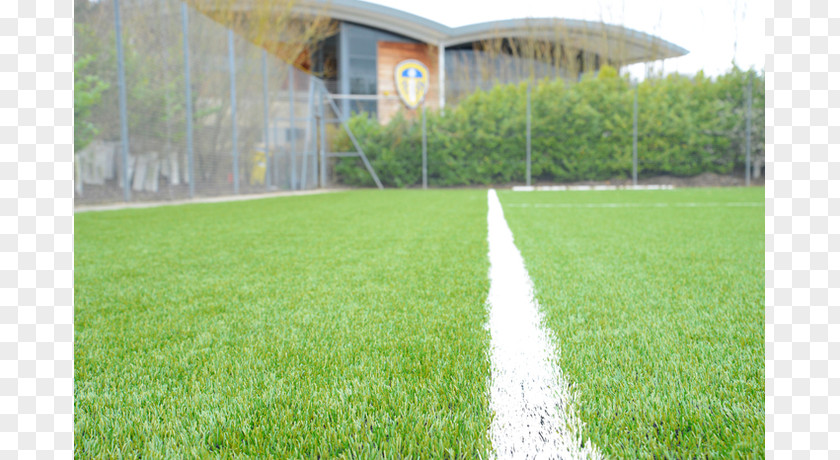 Thorp Arch Leeds United F.C. Reserves And Youth Team Artificial Turf Football PNG