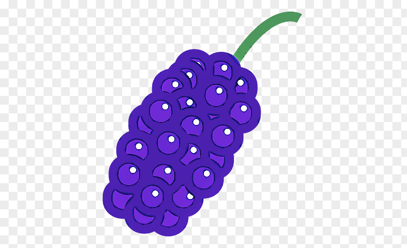 Violet Purple Fruit Plant Grape PNG