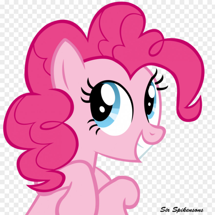 Pinkie Pie Twilight Sparkle Rarity Rainbow Dash Princess Luna PNG