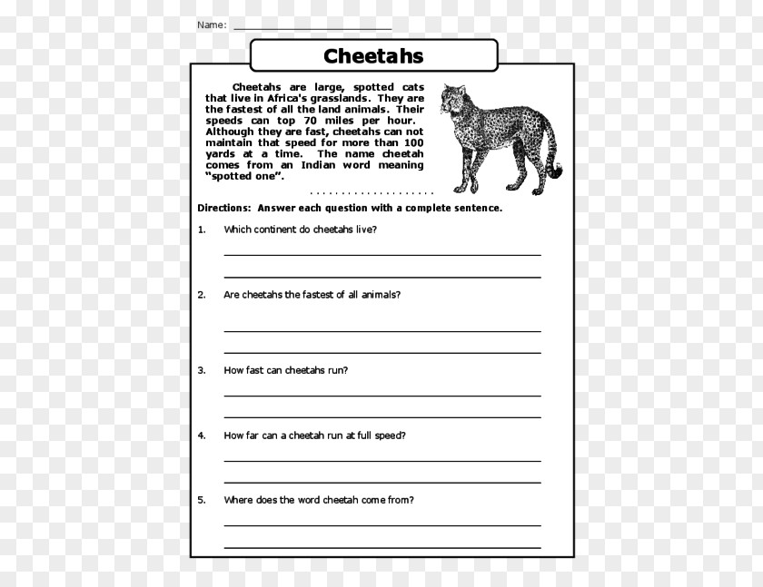 Reading Comprehension Cheetah Teacher Understanding PNG