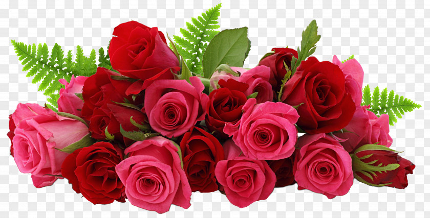 Red And Pink Roses Picture Rose Flower Clip Art PNG