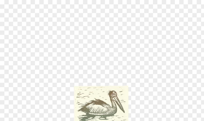 Watercolor Pelican Goose Water Bird Cygnini Anatidae PNG