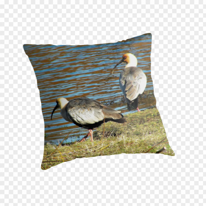 Chili Block Throw Pillows Cushion Beak Feather PNG