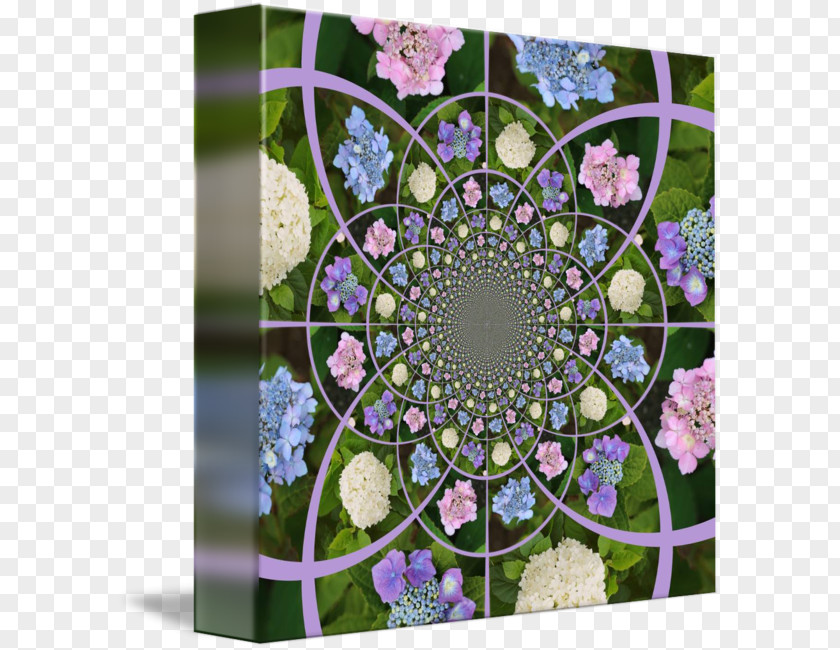 Design Floral Symmetry Flowering Plant Pattern PNG