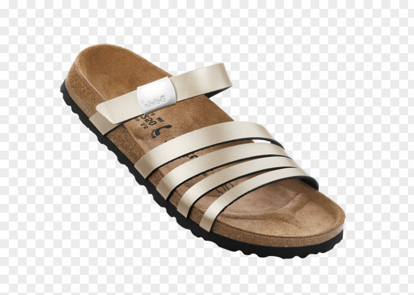 Sandal Shoe Walking PNG