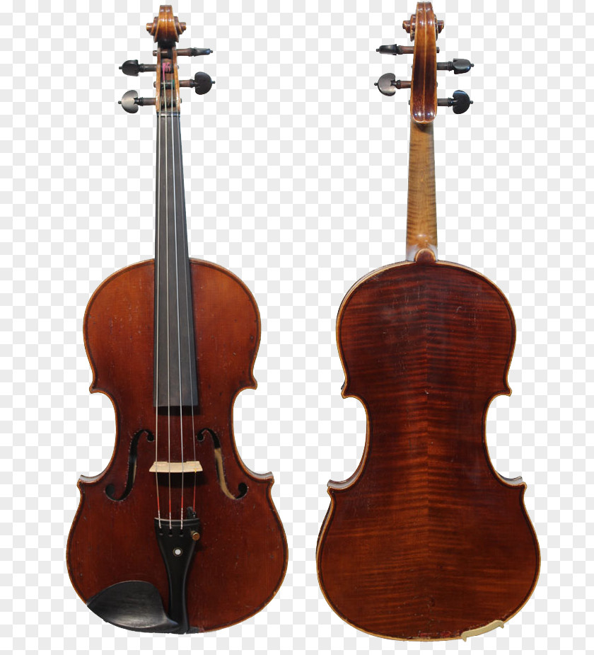 Violin Player Stradivarius Amati Cello String Instruments PNG