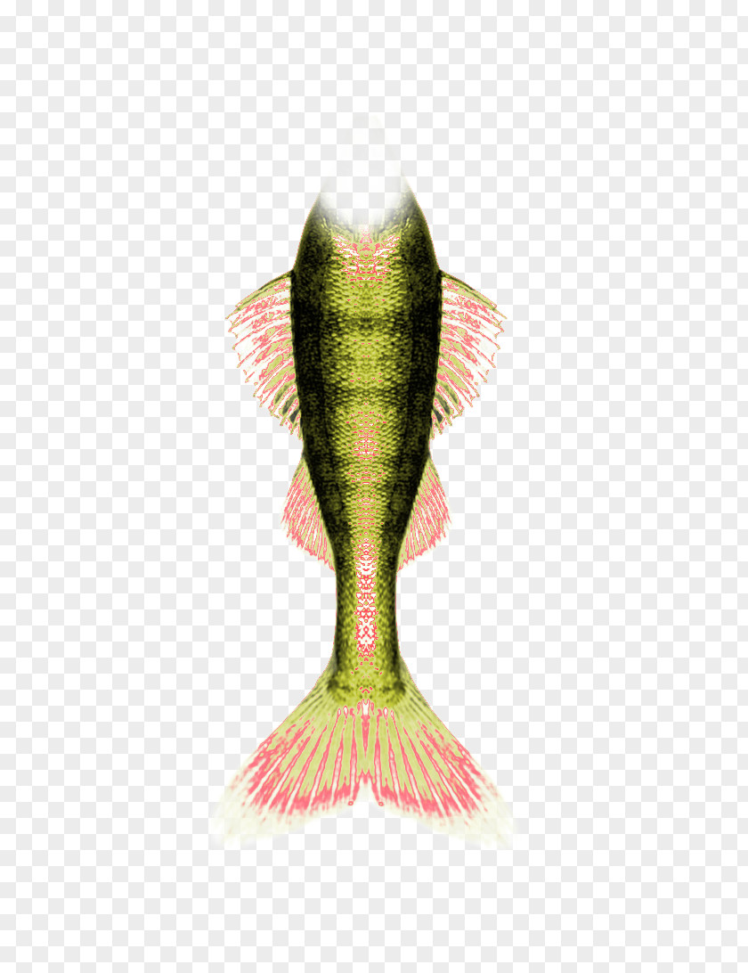 Color Modified Mermaid Tail Yandex Search PNG