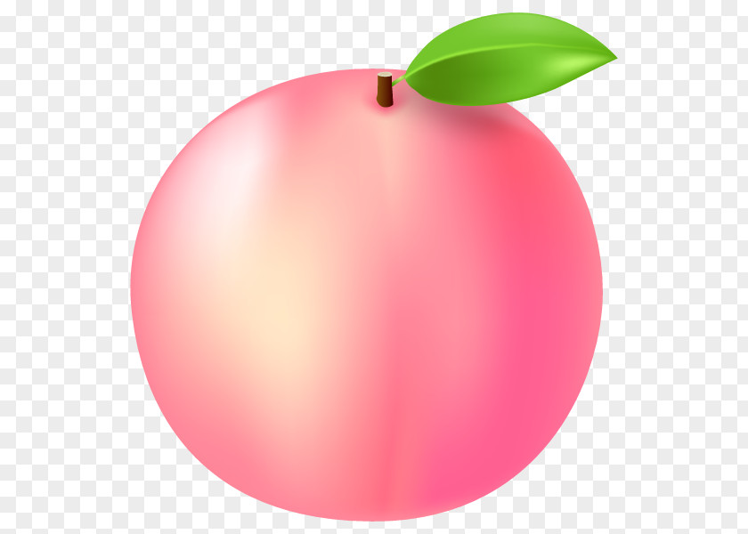 Peach Illustration Nectar Image Juice PNG