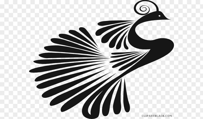 Silhouette Clip Art Indian Peafowl Vector Graphics Image PNG