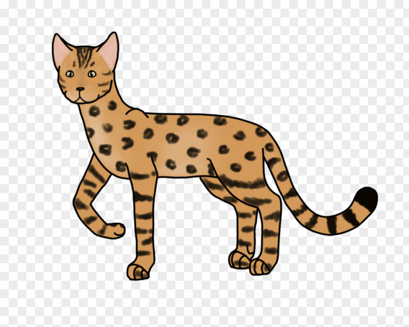 Cat Wildcat Whiskers Cheetah Ocelot PNG