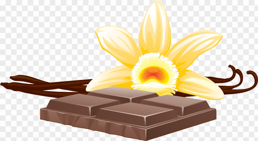 Sweet Cocoa Bean Royalty-free Clip Art PNG