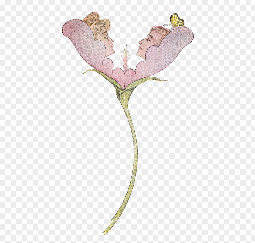 Tulip Pedicel Flowers Background PNG
