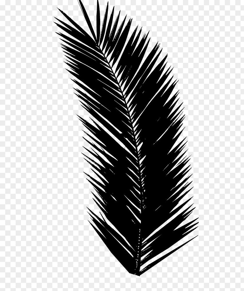 Clip Art Palm Trees Image Design PNG