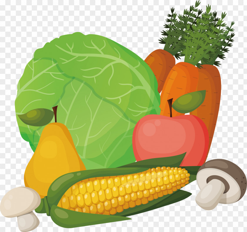 Color Monotonous Vegetables Corn On The Cob Maize Food PNG