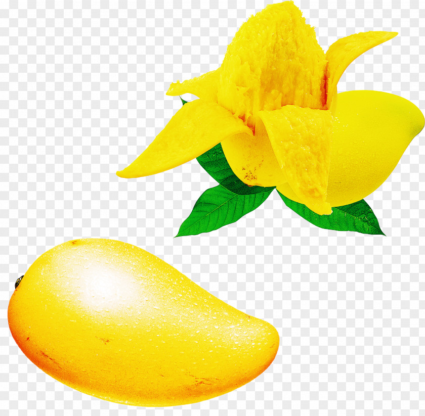 Starfruit Petal Fruit Cartoon PNG