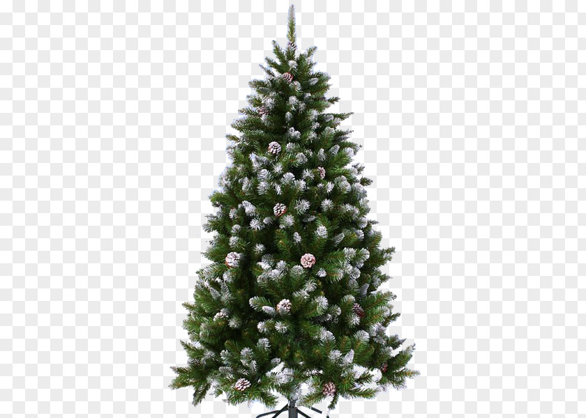 Tree Spruce Artificial Christmas New Year Conifer Cone PNG