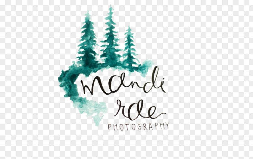 Christmas Tree Logo Turquoise Font PNG