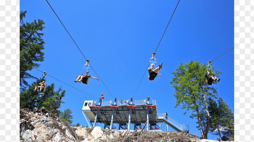 Vacation San Francisco Cable Car System Leisure Tree Tourism PNG