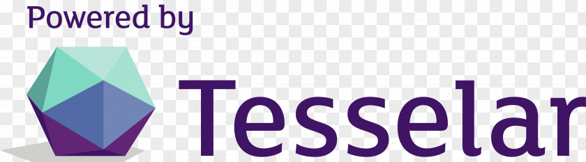 Business Tesselar Logo Customer Organization PNG