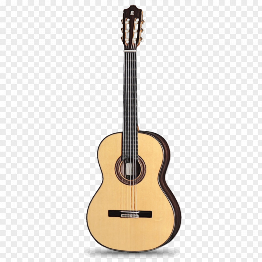 Cavaquinho Tiple Guitar PNG